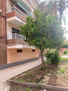 Im�genes del piso a compartir