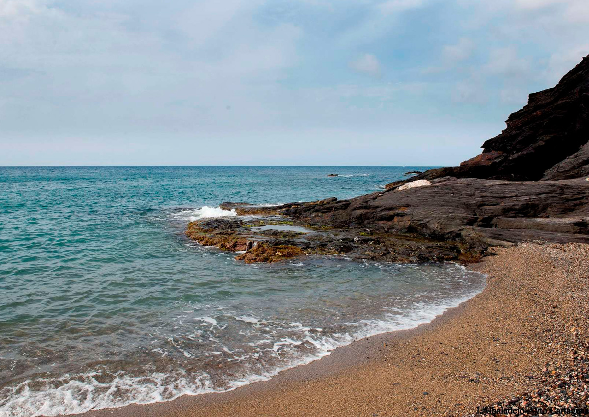 Imagen de la Playa